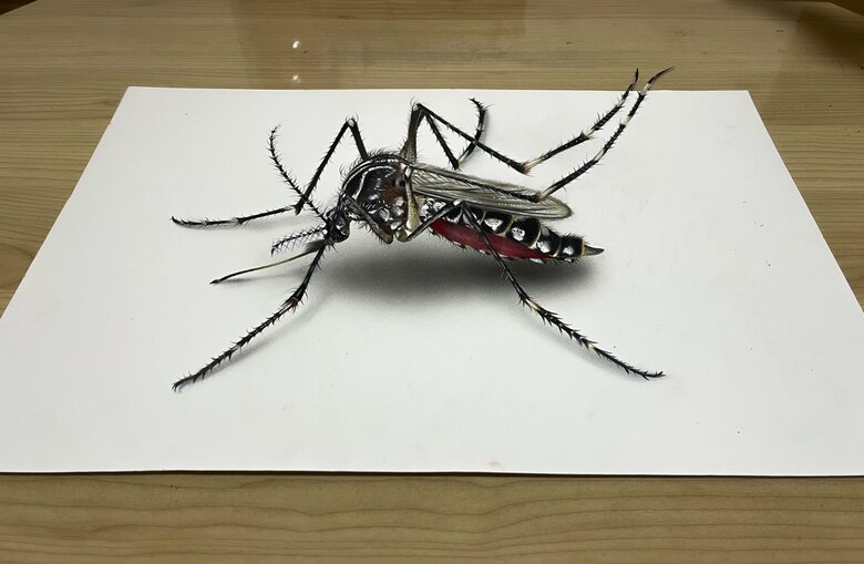 蚊（提供：ARIAさん）