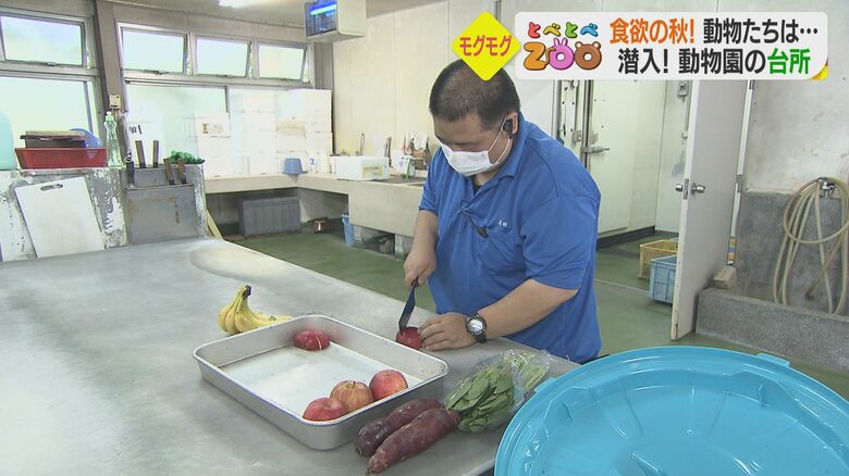 インコの食事を準備する池田敬明キーパー