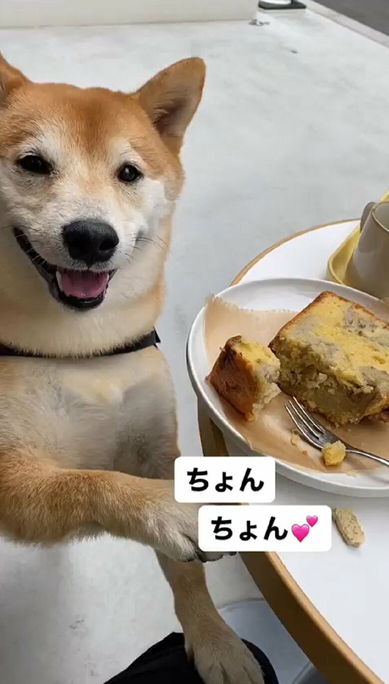 食いしん坊の梅助くん