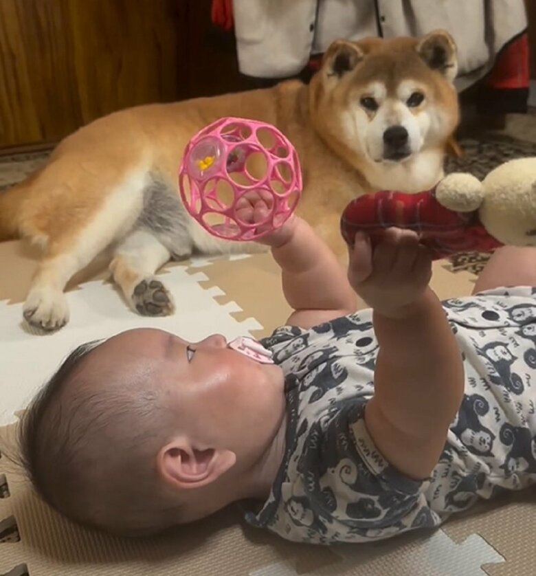 遠くから娘さんの様子をうかがっている