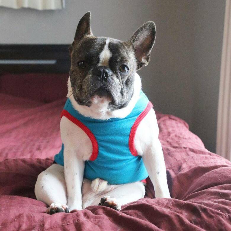 提供：丸男さん