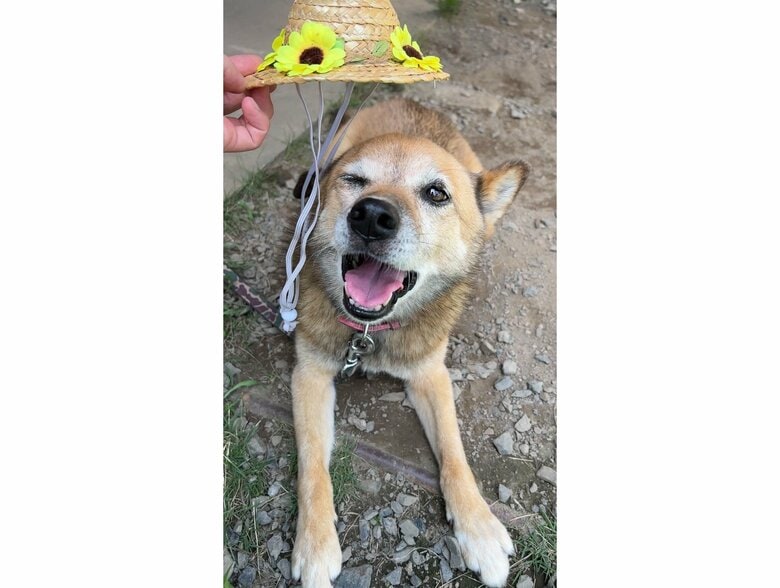 提供：タチバナさんの毎日ルーティン