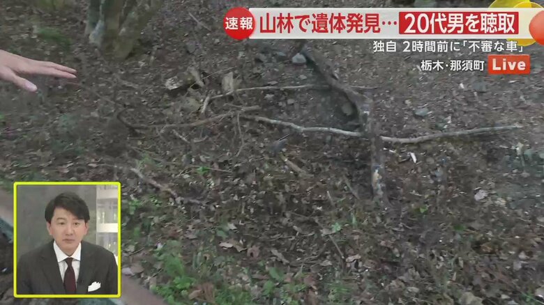 現場には不自然に焼け焦げた木が残されている