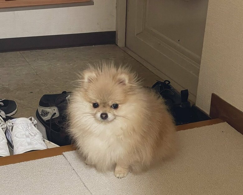 帰宅が少し遅くて拗ねている