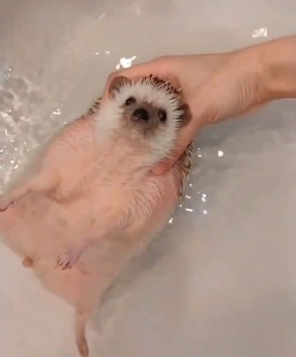 お風呂中