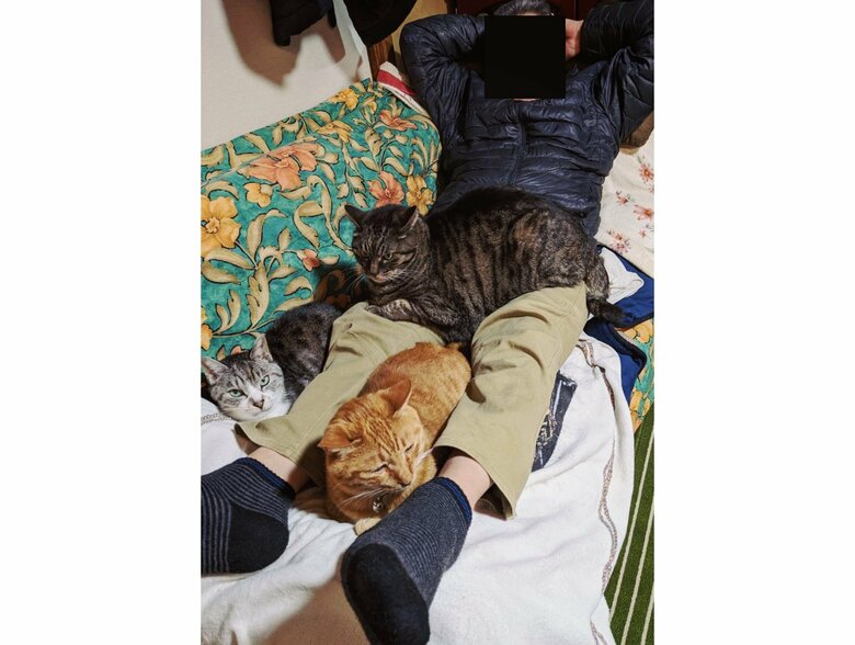 脚の上：ヒジキくん　右脚：シャケくん　脚の間：ビワくん（提供：サユヤスさん）