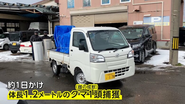 秋田市にある自動車整備工場の倉庫にクマが侵入