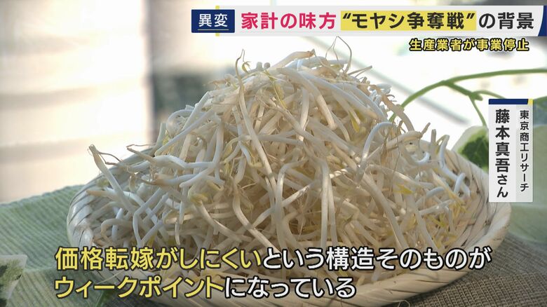 モヤシ