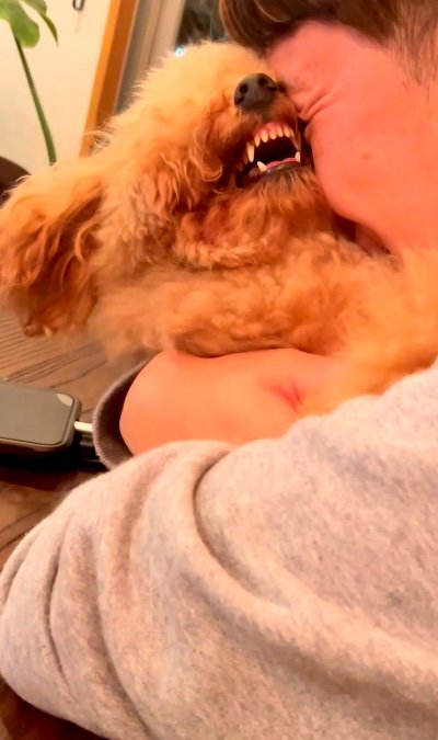 提供：ピン太郎ママさん