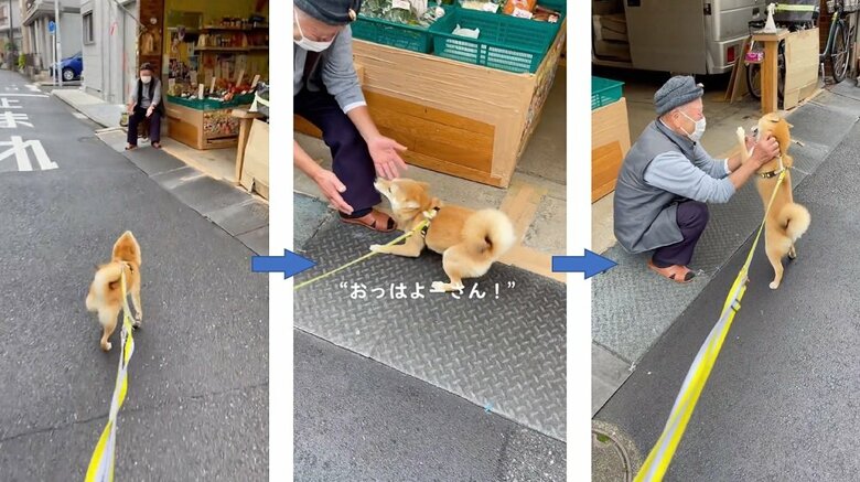 青果店のおっちゃんのもとへ駆け寄るマメちゃん