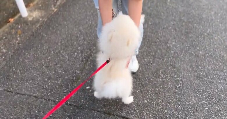 迷わずジャンプ！