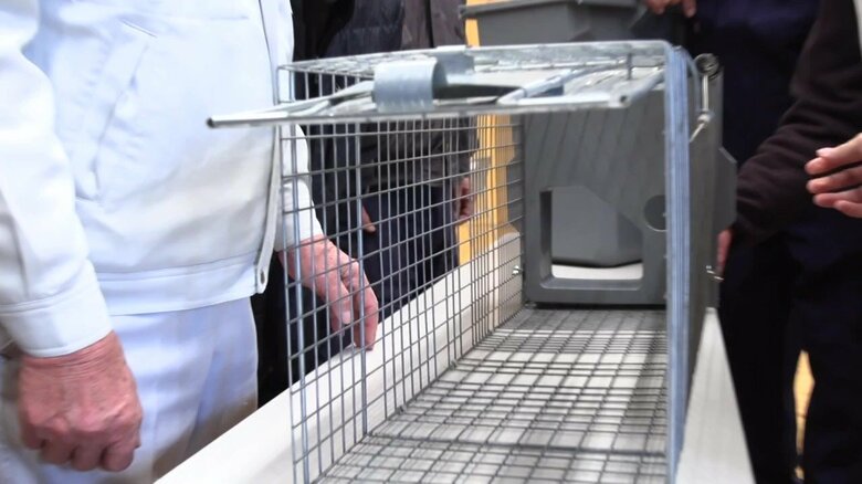 アライグマの捕獲器