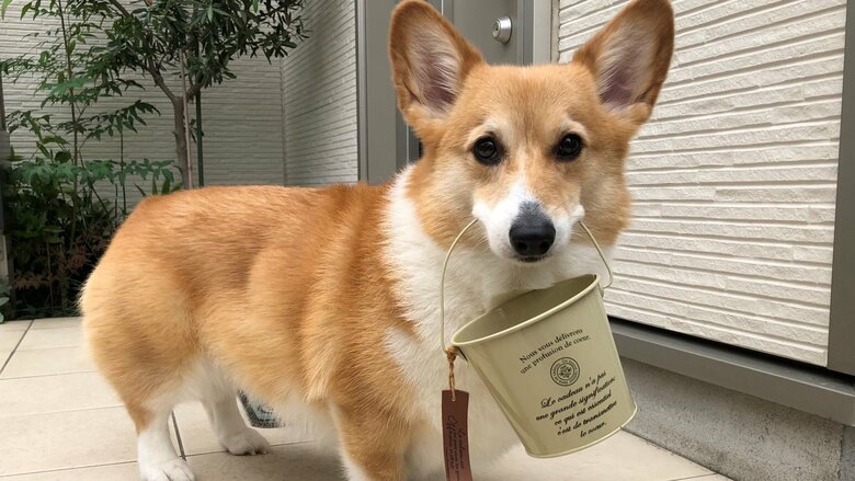 これからも物と笑顔を届けていくはず