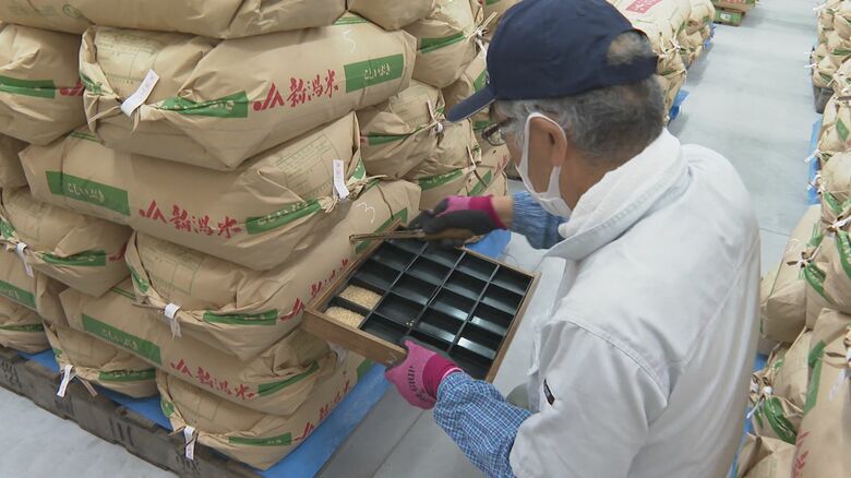 コメの品質検査