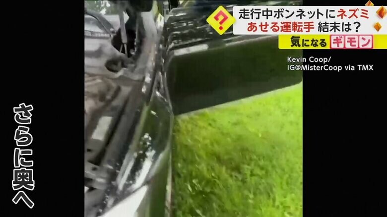 さらに奥にへ