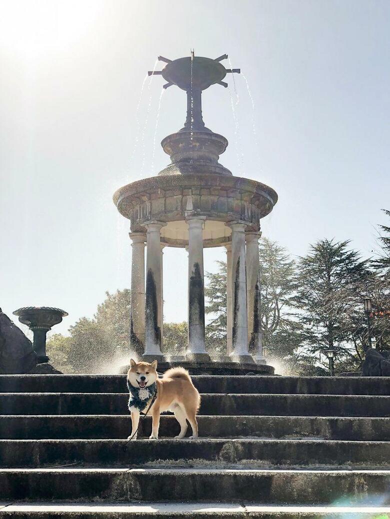 提供：エイトデザイン