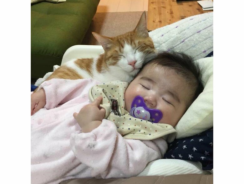 息子くんのお姉ちゃんが幼い頃から一緒に寝ているはっさくくん（提供：Hassakuさん）