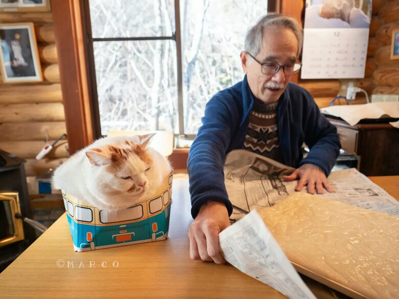 提供：MARCOさん