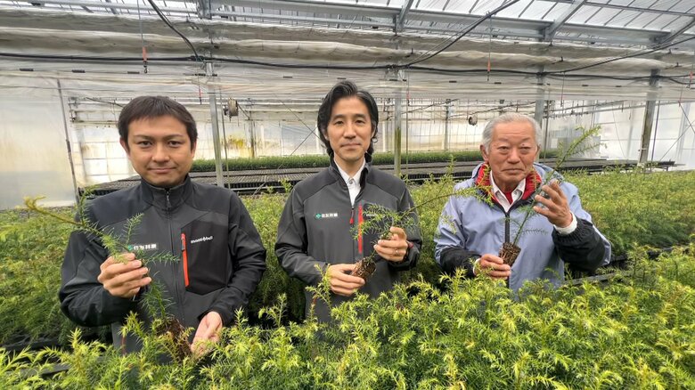 コンテナ苗木を育てているスタッフ