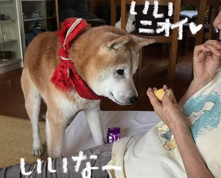 お母さんが食べているお菓子に興味津々