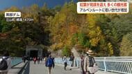 紅葉は例年より遅くても客足は増加、SNSで広がる立山人気、紅葉シーズンに若い世代が急増