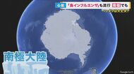 ペンギンがピンチ？　南極で鳥インフルエンザ初確認　人間への感染は「可能性あるが早めに受診すれば大丈夫」と専門家