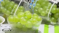 「口の中に果汁広がる」　ハニービーナスの初競り