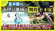 台風で浮き彫りに　半島先端の急所　災害で交通寸断…孤立化のおそれ　夏本番へ期待と不安　