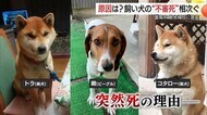 謎の不審死相次ぐ…河川敷の散歩後に愛犬が次々に「許せない」憤る飼い主　保健所が調査（島根）