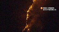 神奈川・伊勢原市の山火事消火活動開始へ…日向山で600平方メートル燃える　登山道・車道の一部規制　群馬・妙義山など関東各地で相次ぐ