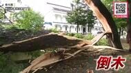 【道内で記録的大雨】陸別町で“1時間約90ミリ”旭川では落雷で倒木…JR特急11本含む51本が運休するなど交通にも影響―土砂災害や低い土地の浸水などに厳重な警戒