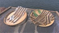 獲った魚が東京でゴミに…「この魚で商売を」一念発起から50年以上、極上のみりん干しを作る元漁師の職人技
