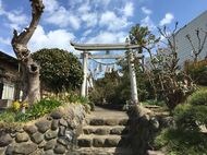 「大変なときだからこそ神仏に祈りたい」ITベンチャーが挑戦する「コロナ時代」の新たな参拝とは