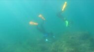 海藻が失われる「磯焼け」で漁獲量激減…ウニを駆除し“藻場”を守る漁師たち 高校生に伝える漁業の未来【宮崎発】