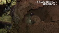 75年経った今も戻らない遺骨 地中に眠る戦没者をDNA鑑定で家族に