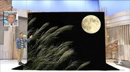 ススキには実は「花」があった⁉ いつも見ている“白い穂”の正体とは