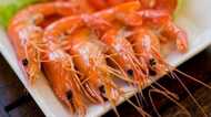 エビは魚?それとも虫?? インドでの禁止令に戦々恐々