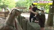 動物と触れ合い楽しむ 連休2日目の動物公園<岩手・盛岡市>