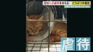 日本初「どうぶつ弁護団」“虐待”から猫や犬を守る　弁護士と獣医師がタッグ