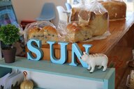 保護ネコとポニーがいるパン屋さん　「人と動物が幸せに」【静岡発】