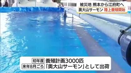 新ブランド「奥大山サーモン」誕生へ　熊本地震で被災した稚魚を鳥取・江府町で陸上養殖「復興」シンボルに