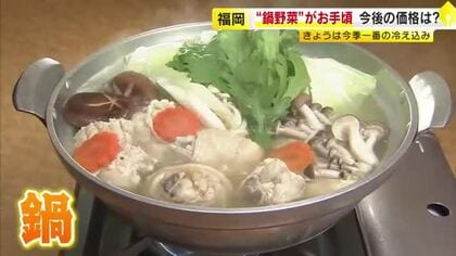 今シーズンは“鍋野菜”がお買い得　「今はなんでも大きくて安いし、状態もいい」　今後さらに価格が下がる可能性も　福岡