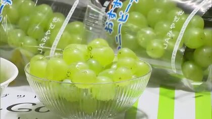 「口の中に果汁広がる」　ハニービーナスの初競り