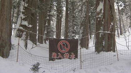 外国人客が急増　パワースポットとして知られる神社参道　立ち入り禁止エリアに侵入相次ぐ　観光協会「安全に楽しんで」