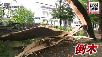 【道内で記録的大雨】陸別町で“1時間約90ミリ”旭川では落雷で倒木…JR特急11本含む51本が運休するなど交通にも影響―土砂災害や低い土地の浸水などに厳重な警戒