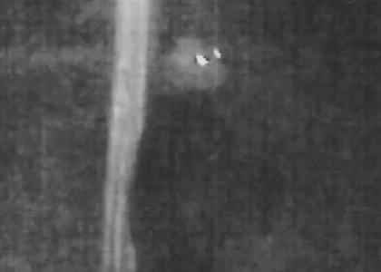 眼光するどく立ち上がり…牛65頭襲った“最恐”ヒグマ「OSO18」 ついに動画公開　