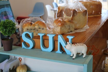 保護ネコとポニーがいるパン屋さん　「人と動物が幸せに」【静岡発】