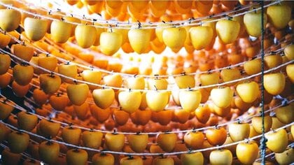 「柿の皮、昔はよく食べたんだよ」福島のおばあちゃんの言葉からコスメが生まれた！銀賞受賞のワケ