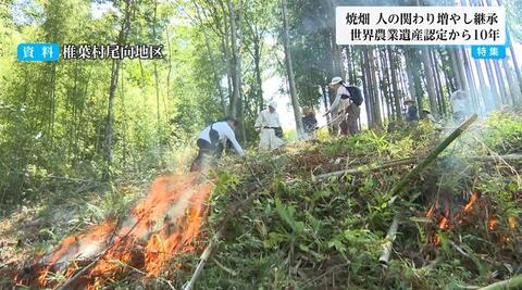 縄文時代から続く伝統農法「焼畑」の魅力とは　世界農業遺産認定から10年で交流人口増加「結構やる気出てきてますね」　県外から移住者も