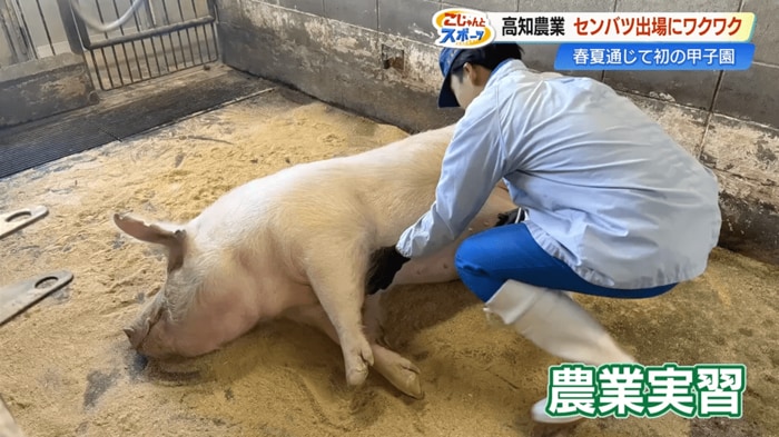 農業実習などもあり、全員がそろって練習できる時間は多くない